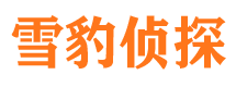 渝中市侦探调查公司